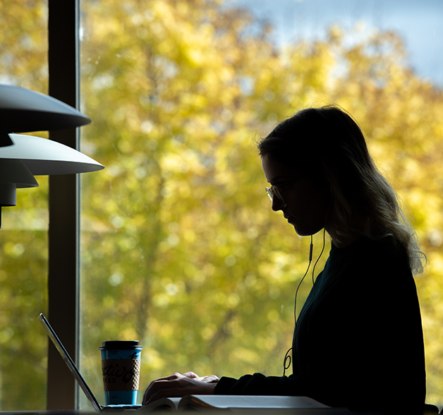 A student studies at the library.